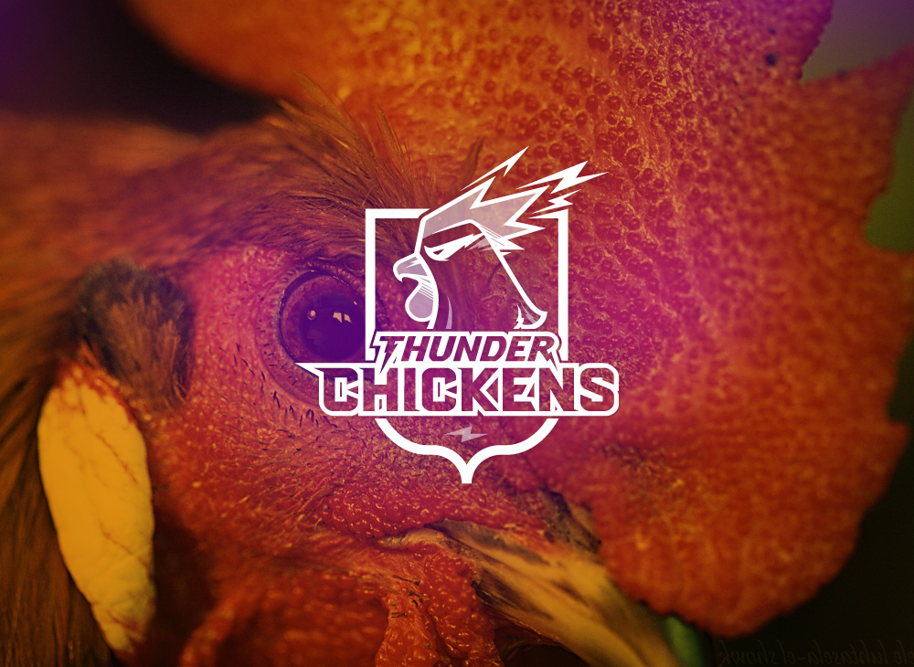 Thunder Chickens Logo 3
